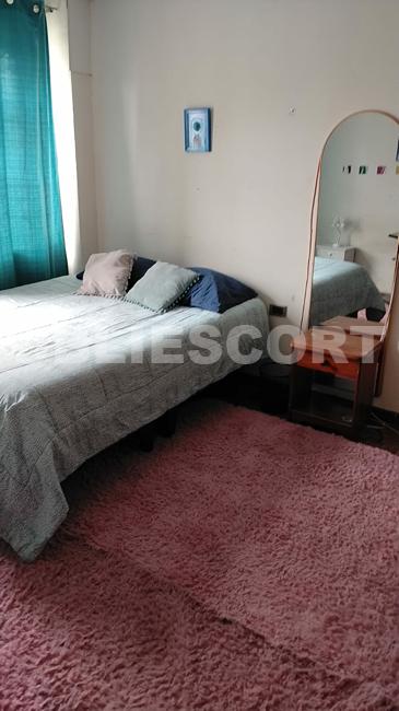 COMPAÑERA DE CUARTO ROMMIE